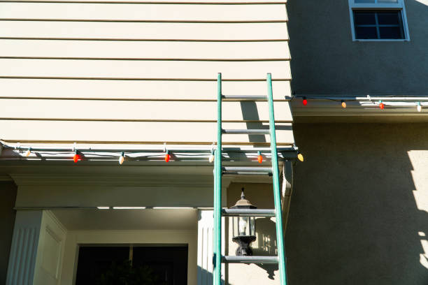Professional Junk Removal in Pimlico, SC