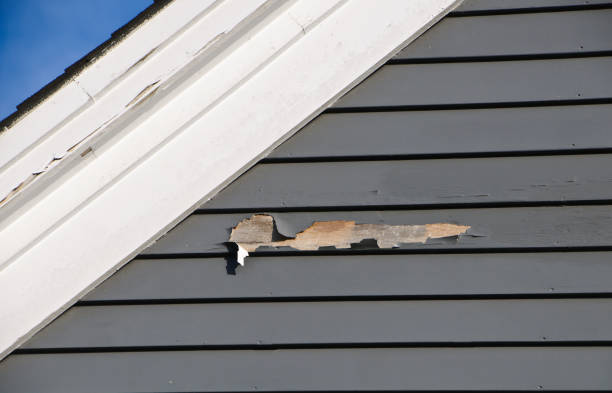 Property Management Cleanouts in Pimlico, SC